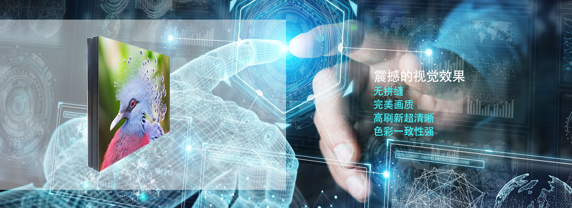 洛阳户外P8
